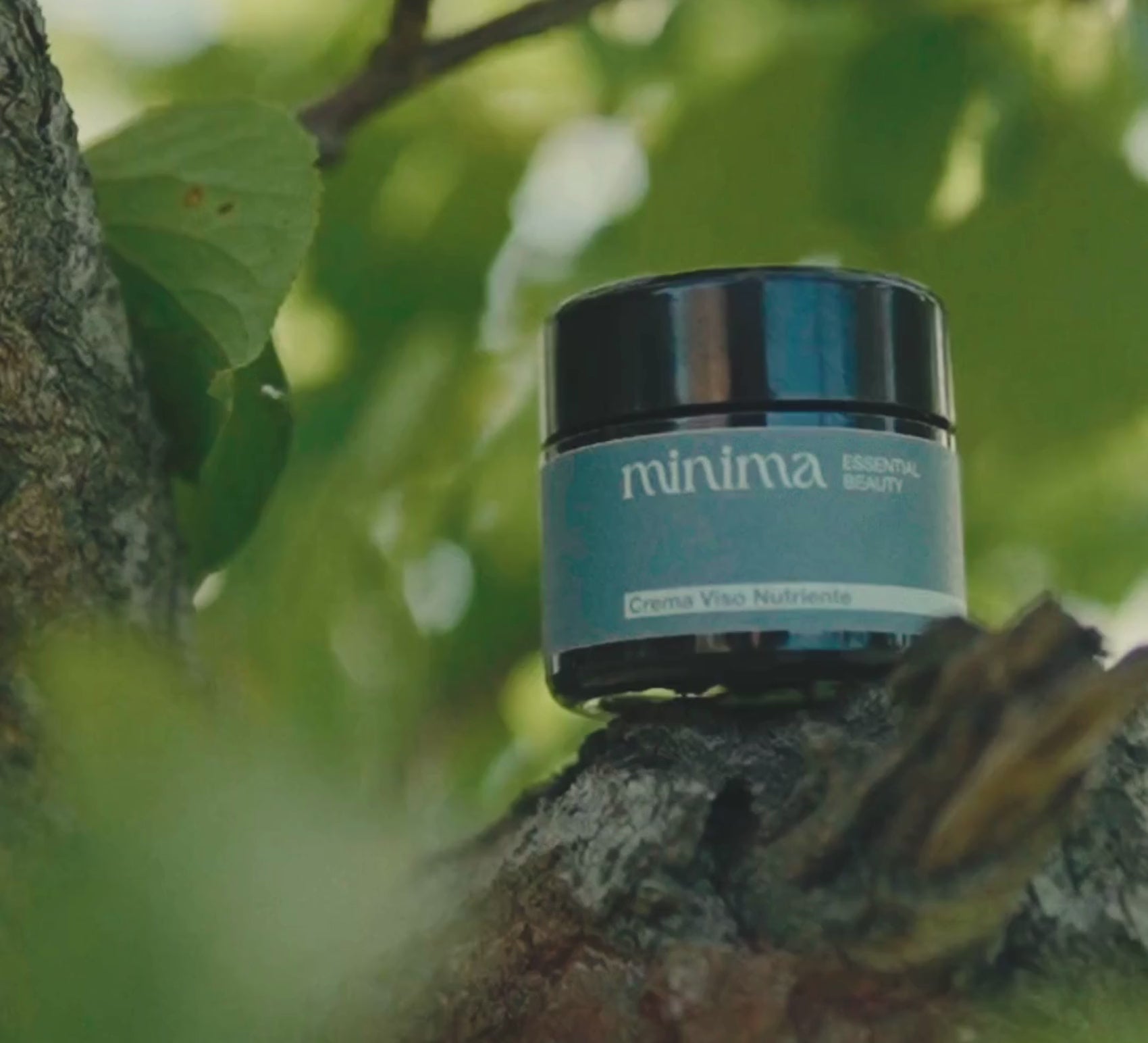 Crema Viso Nutriente